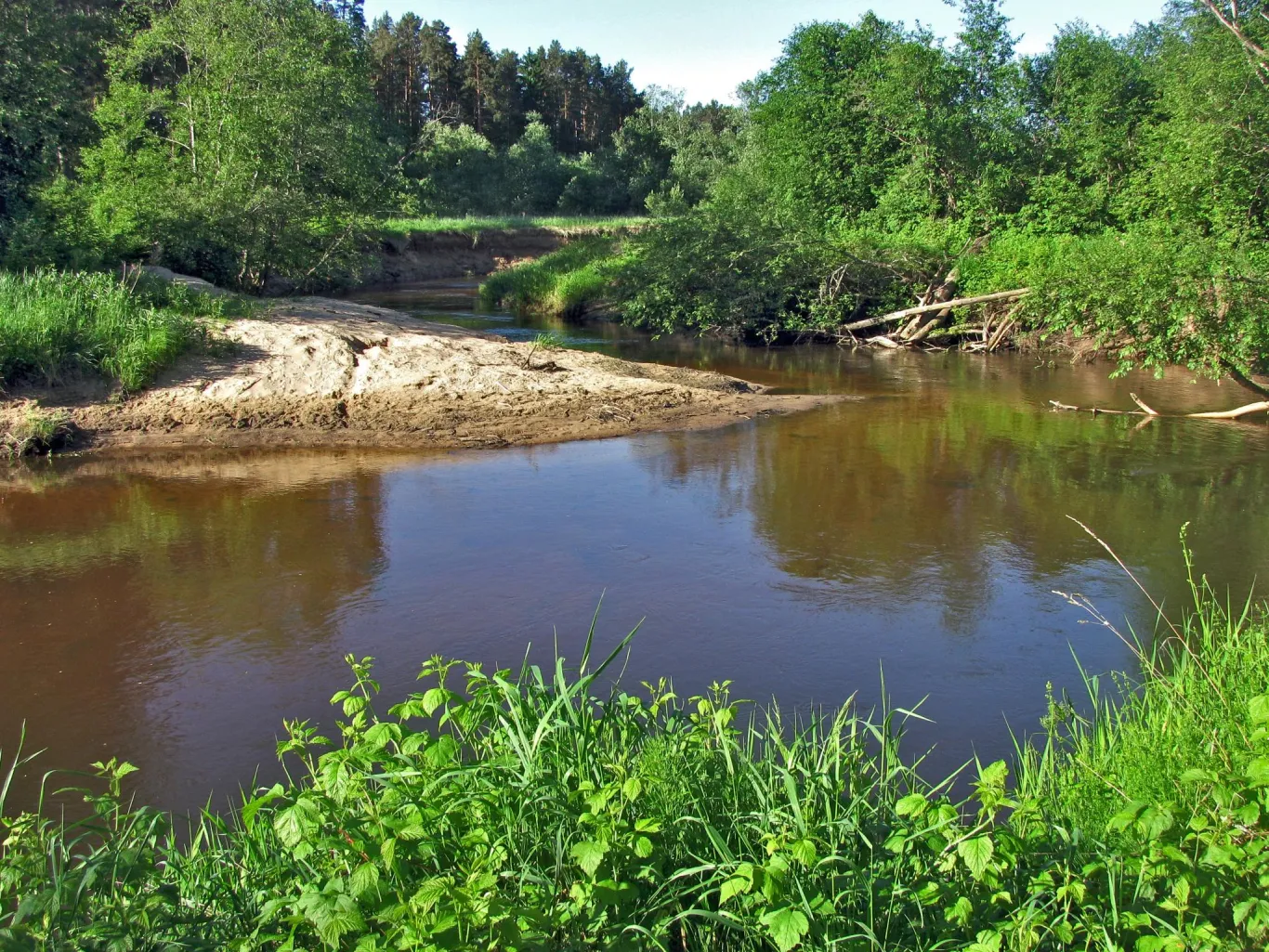 Vaidava