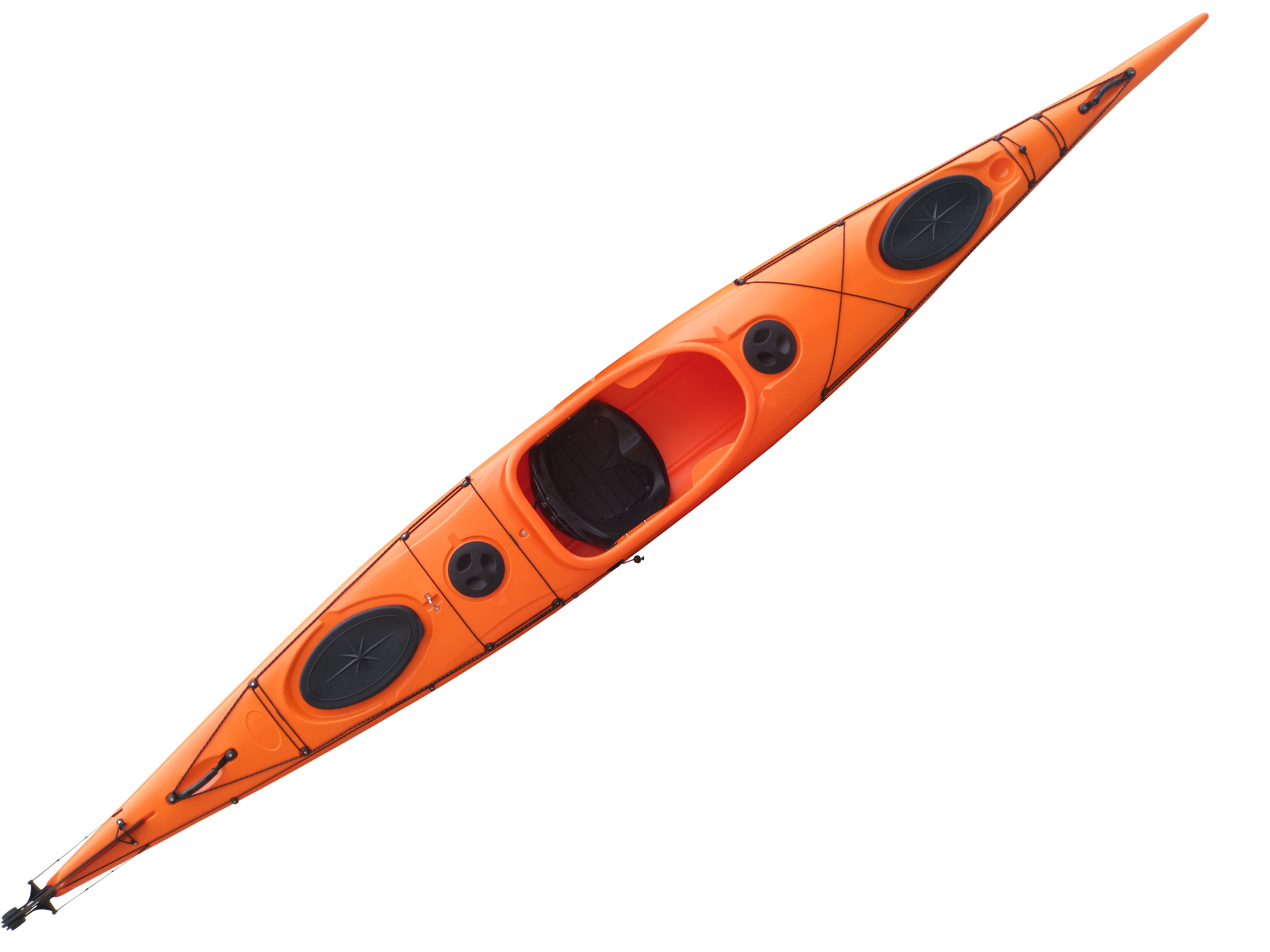 Dolphin 16