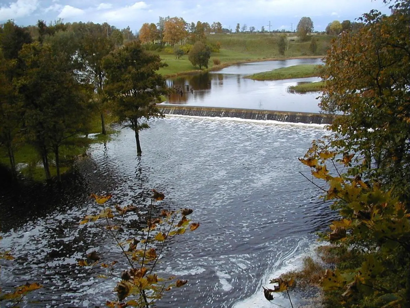 Rūja