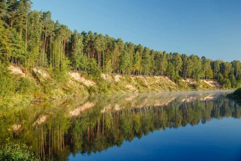 Gauja